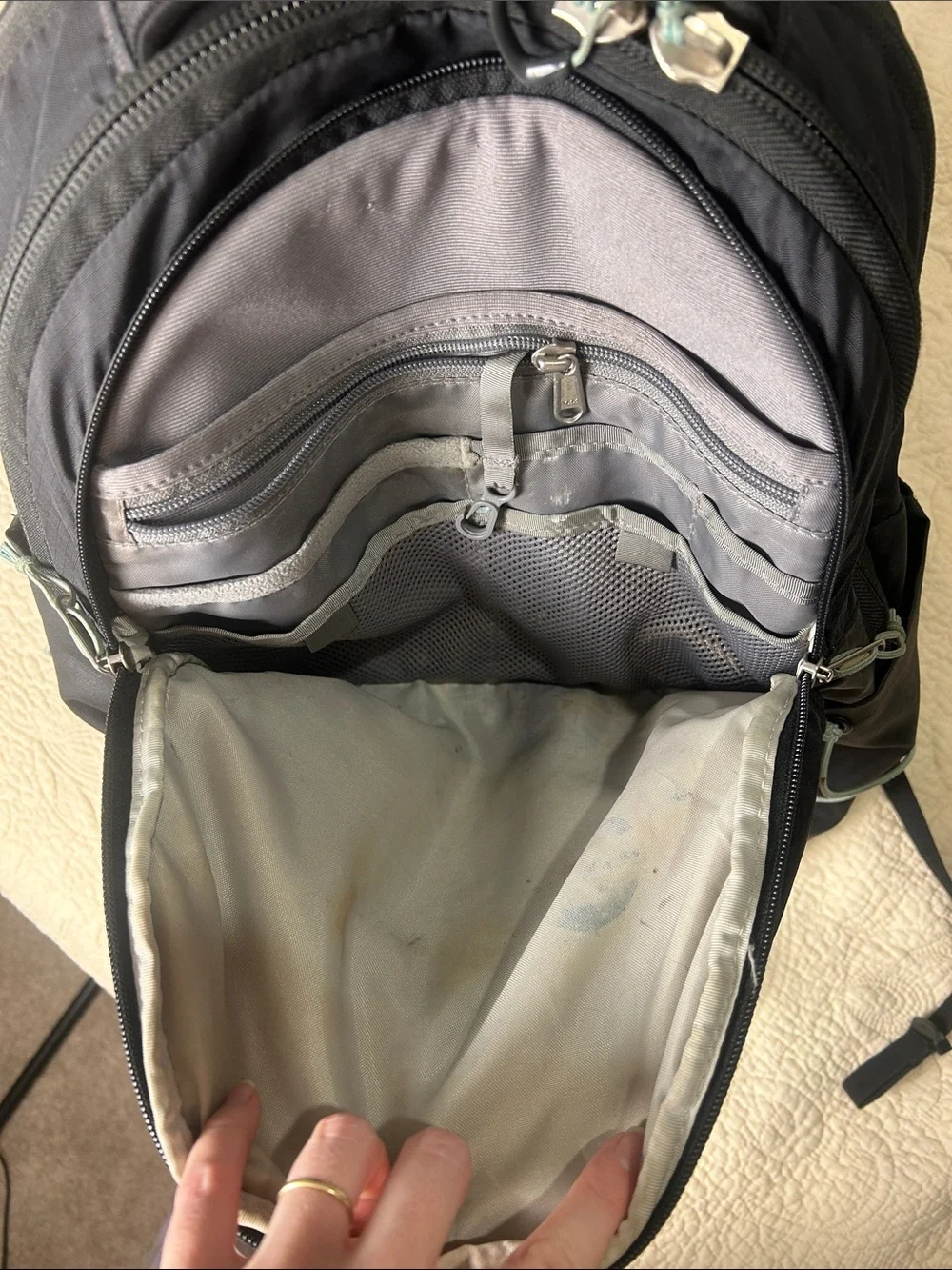 The North Face Black Backpack with Light Gray Bungee